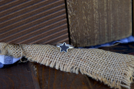 The Shining Star
